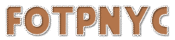 Fotpnyc